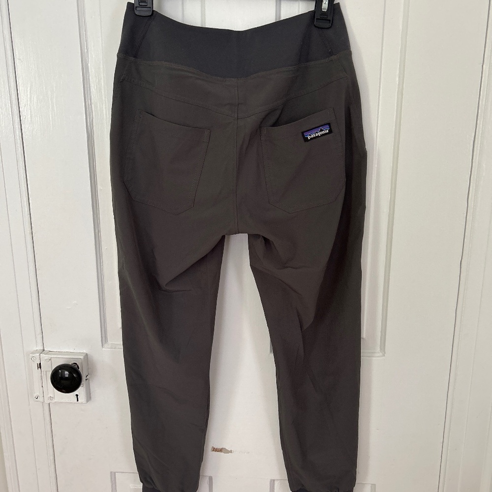 Patagonia jogger pant